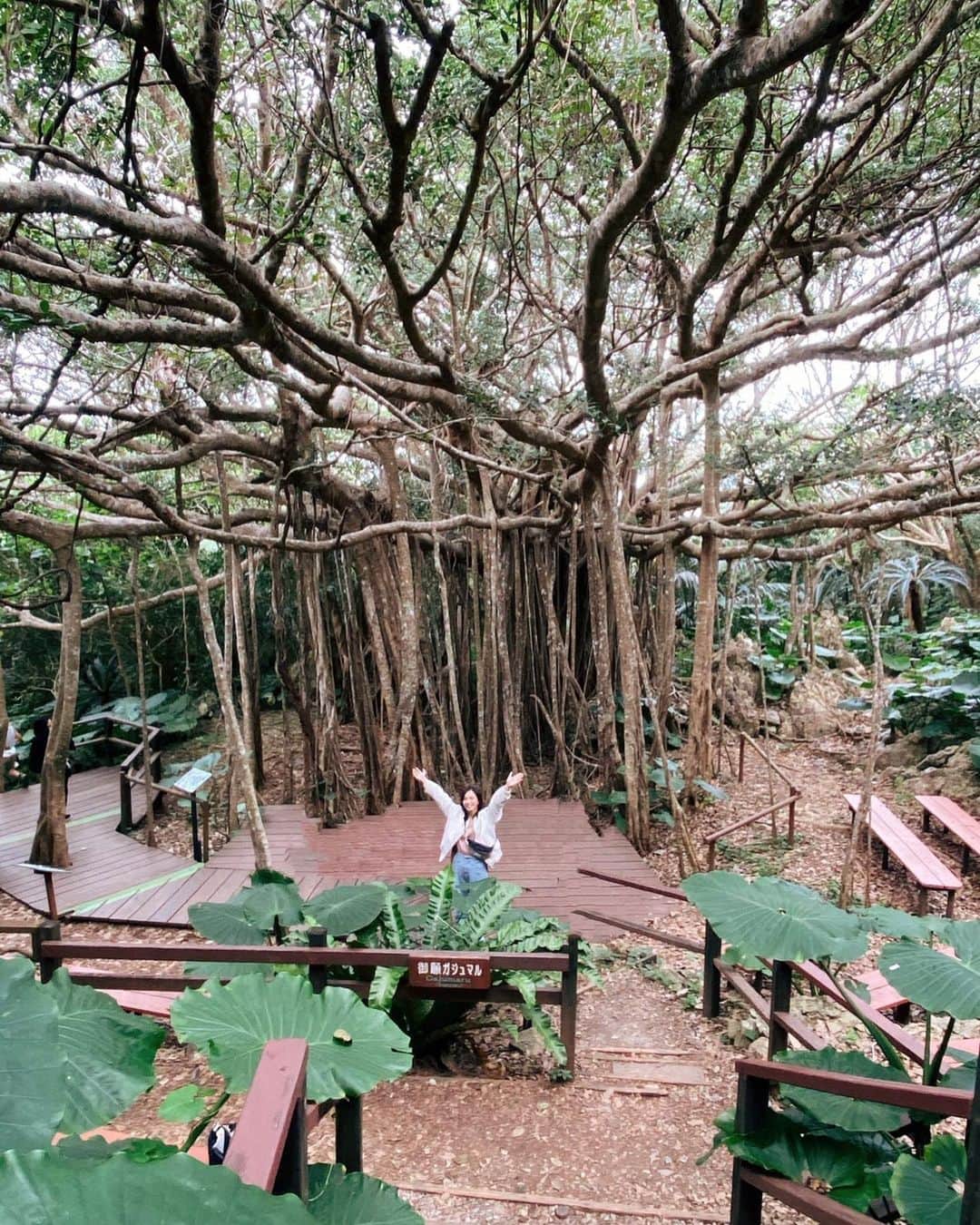 優木まおみさんのインスタグラム写真 - (優木まおみInstagram)「今日旅サラダに出演しました。  ロケでは1泊2日で、沖縄にいってきました。  ウェルネス旅をテーマに、心も身体も癒されて元気になった、最高の旅でした。  この緑のワンピースは、  @velnica_japan  でした。  #旅サラダ」1月25日 11時11分 - yukimaomi