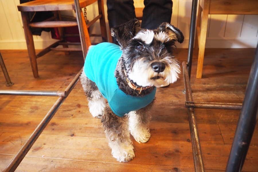 maruku. café のグルメインスタ