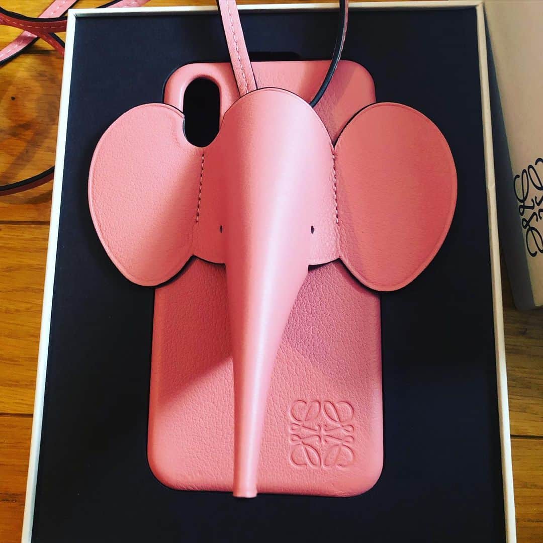 阿部洋子さんのインスタグラム写真 - (阿部洋子Instagram)「🐘 #new ! #iPhone #case  #caseiphone  #pink  #elephant #2020ss」1月25日 12時04分 - hirocoring