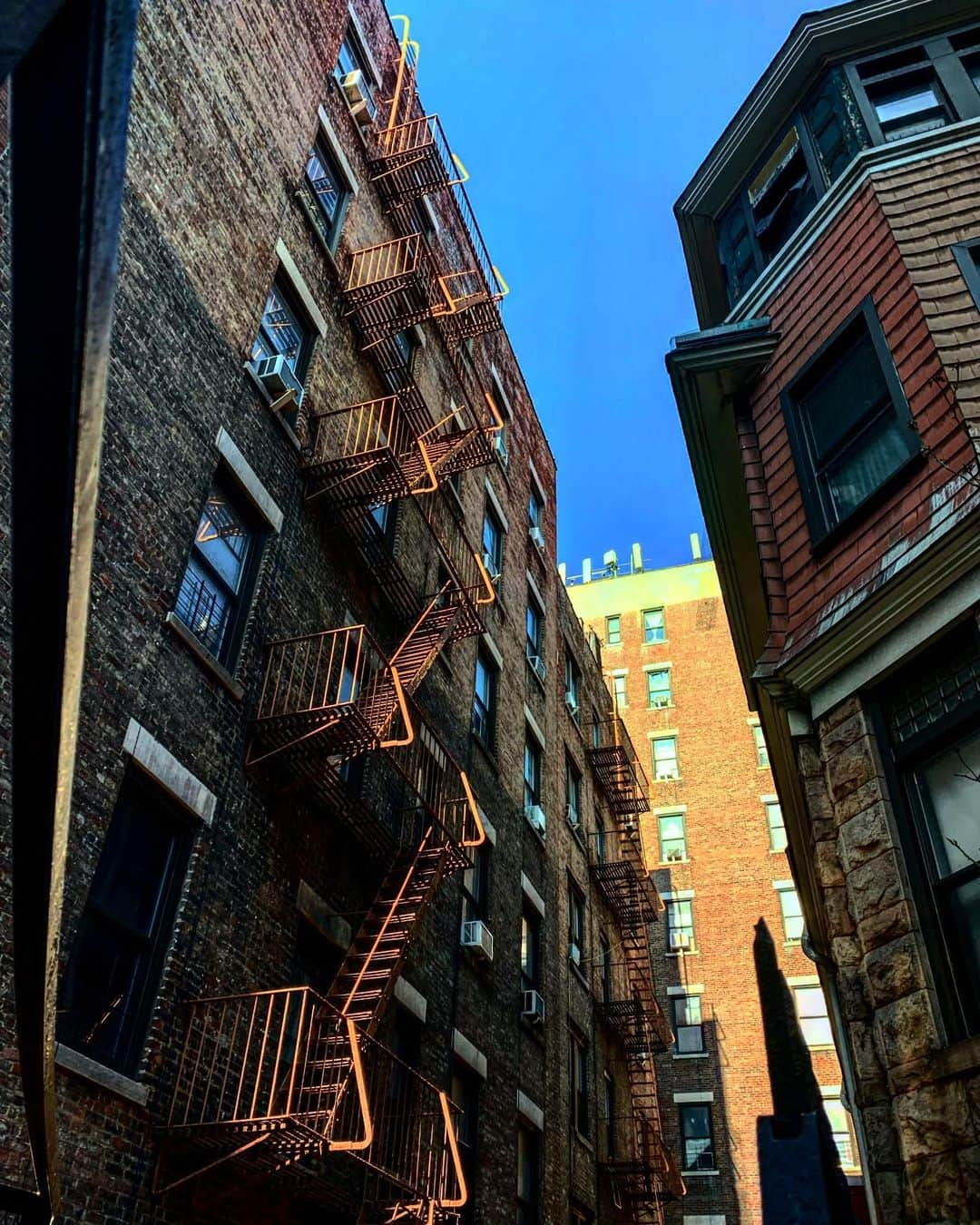 ブレンダン・ドーリングのインスタグラム：「Escape a fire, sure, but not the sun! #harlem #nyc」