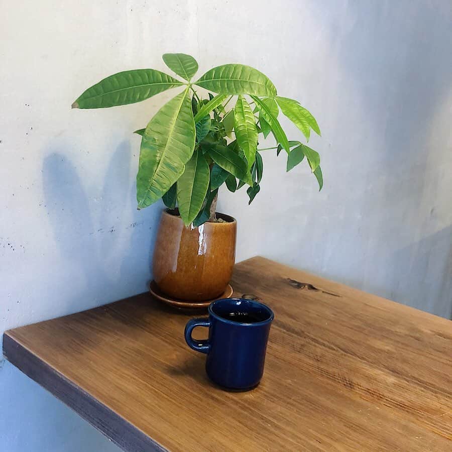 木村ミサのインスタグラム：「はじめて訪れた街で﻿ おいしい珈琲に出会ってしまった…☕️﻿ ﻿ ﻿ #bleucoffeestandandbar ﻿ #小田原 #小田原カフェ #コーヒー﻿」