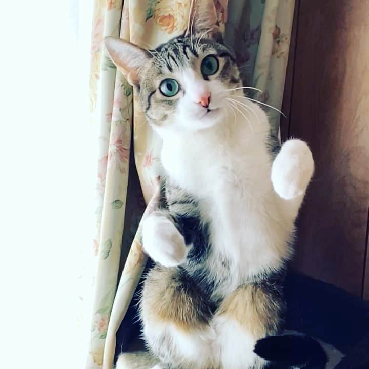 MAKO0MAKO0のインスタグラム