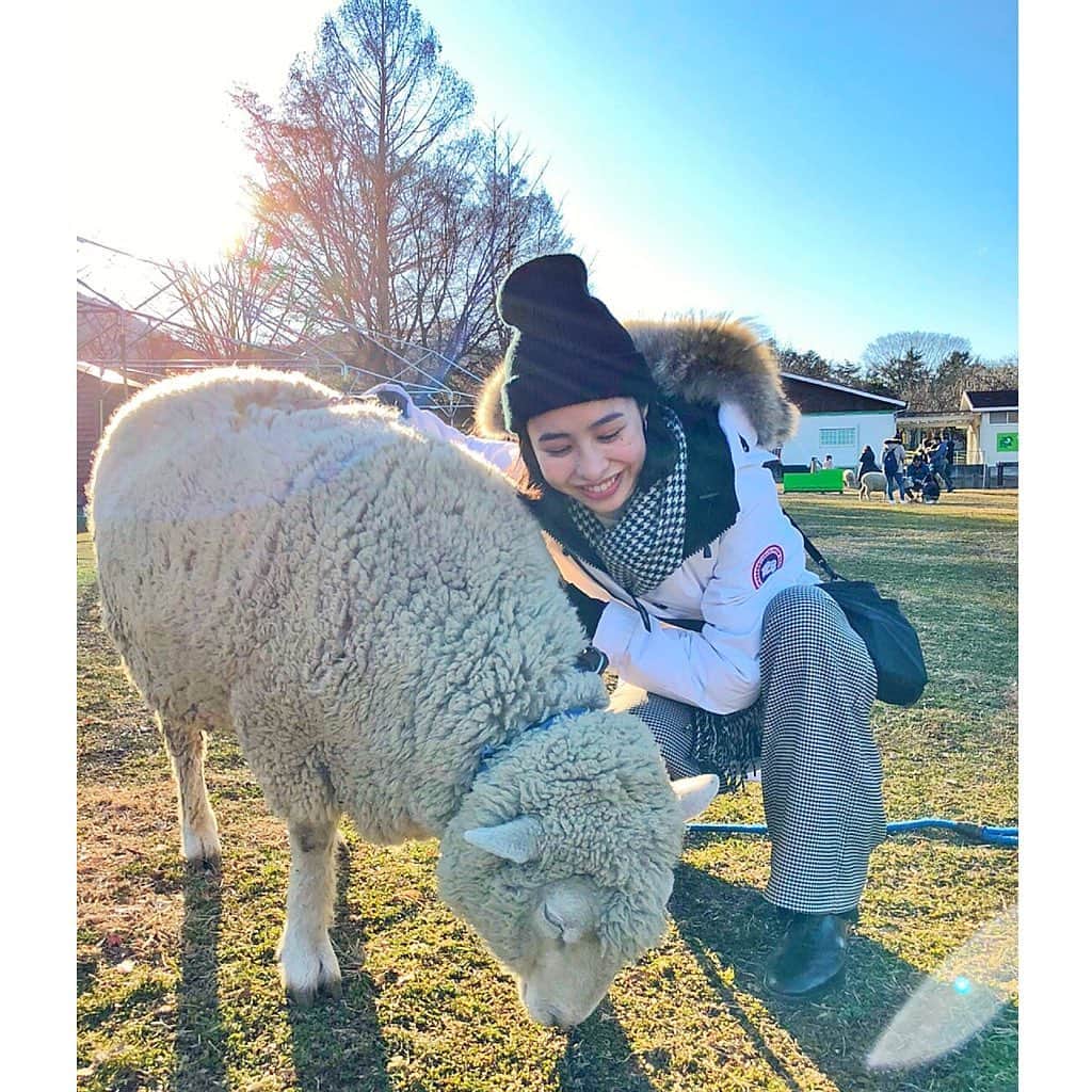 広岡沙恵のグルメインスタ