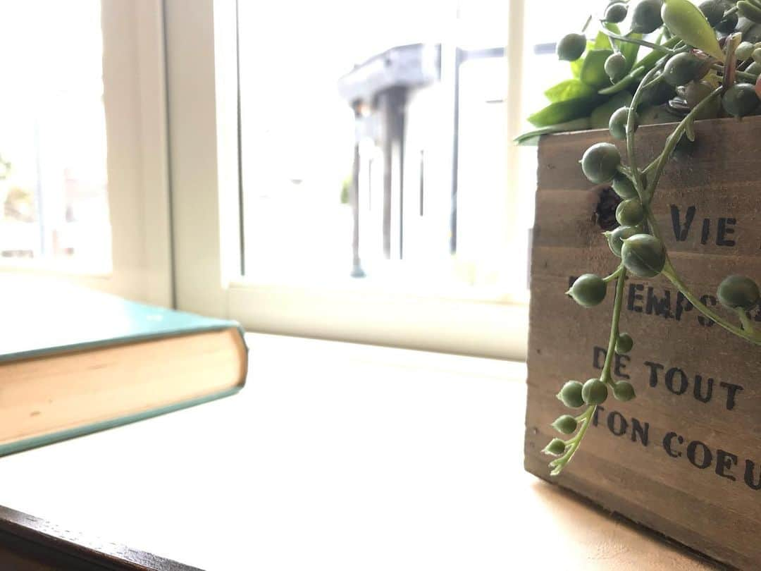 桂さんのインスタグラム写真 - (桂Instagram)「居場所  #iBASHO #kurakuen #cafe #ibasho #succulentplant #greennecklace #book #astrology #windowsill #cityscape #landscape #居場所 #くらくえんcafe居場所 #多肉植物 #グリーンネックレス #窓辺 #街角 #景」1月25日 13時52分 - astrology_tarot