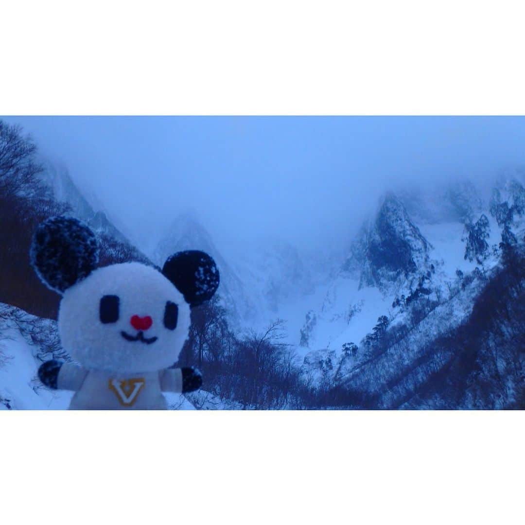 テレ朝newsさんのインスタグラム写真 - (テレ朝newsInstagram)「群馬県にある谷川岳の一ノ倉沢というところにやってきました。岩壁に囲まれたクライミングの聖地の一つです。ゴーちゃん。さっそく雪まみれです。谷の中へ入っていきます。谷なので雪崩が起きないか、雪の状態を見極めていきます。 #冒険ゴーちゃん。#テレビ朝日 #テレ朝 #news #六本木 #japan #テレビ #テレビが好きな人と繋がりたい #写真 #写真好きな人と繋がりたい #photography #nofilter #ゴーちゃん #ごーちゃん #panda #おでかけ #fun #climbing #沢登り #群馬 #谷川岳　#一ノ倉沢　#TrailRunning　#沢ヤさん」1月25日 13時58分 - tv_asahi_news
