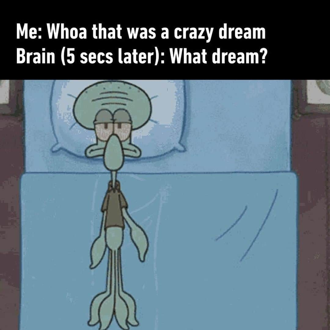 9GAGさんのインスタグラム写真 - (9GAGInstagram)「Do you often remember your dreams?⠀ #sleep #dream #squidward #9gag」1月25日 14時00分 - 9gag