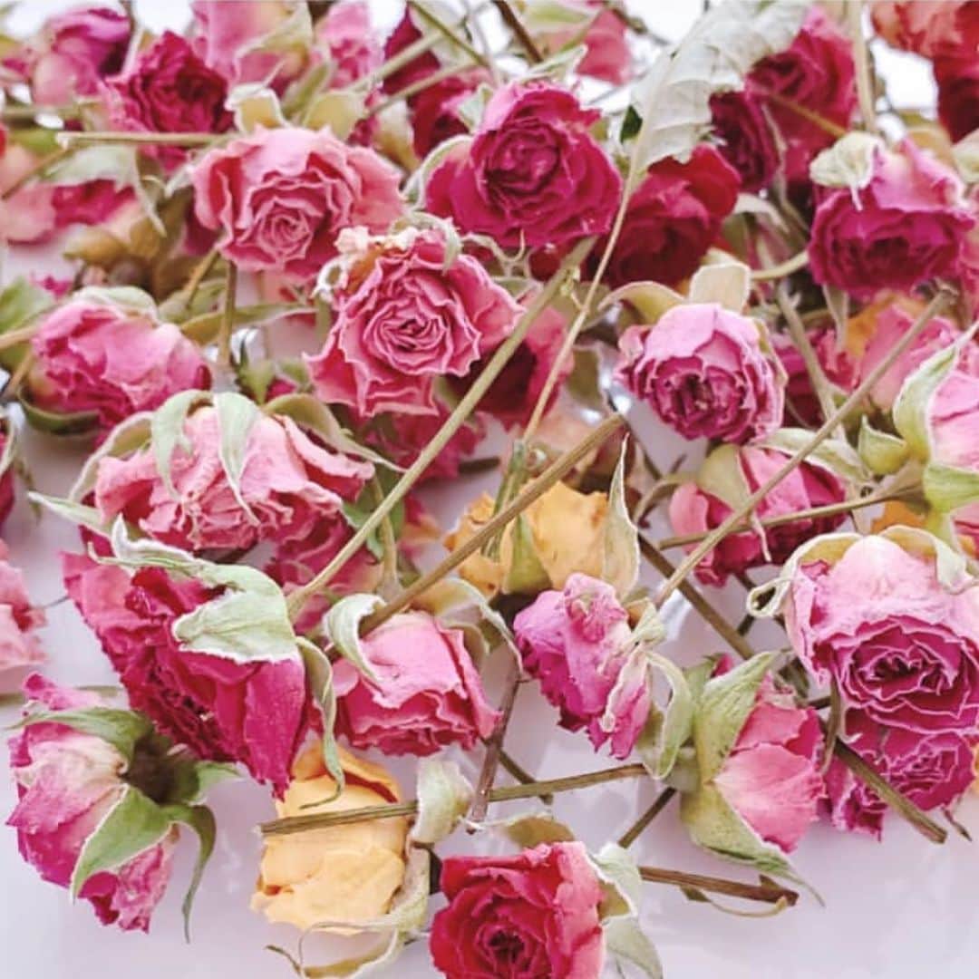タピエスタイルさんのインスタグラム写真 - (タピエスタイルInstagram)「「lilian_accessory 」 本物の薔薇を使ったアクセサリーたちのご紹介。 薔薇をレジンコーティングしたイヤリングとピアスお試しください。 ・・・ * 新発売の#Ray 3月号にLilianのアクセサリーが掲載されました-!! 嬉しい−!! 是非見てくださいね。  今なら渋谷ヒカリエ五階のタピエスタイルの品揃えが充実していますよ！  #タピエスタイル #渋谷ヒカリエ #花のある暮らし」1月25日 14時22分 - tapiestyle