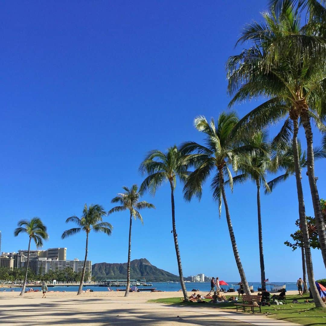 Belle Vie Hawaiiさんのインスタグラム写真 - (Belle Vie HawaiiInstagram)「Happy Aloha Friday🌴﻿ ﻿ #belleviehawaii #hawaii﻿ #waikiki #waikikibeach﻿ #aloha #honolulu﻿ #oahuhawaii #oahulif﻿ #hawaiilife #honoluluhawaii﻿ #ハワイ #ベルヴィー﻿ #ハワイ旅行 #ハワイ好き﻿ #オアフ島 #ハワイビーチフォト﻿ #ハワイ大好き #アロハ﻿ #ハワイの思い出 #ハワイ情報﻿ #ハワイ土産 #ハワイ行きたい﻿ #ワイキキ #ワイキキビーチ﻿ #ホノルル #ハワイ生活﻿ #ハワイ好きな人と繋がりたい」1月25日 14時35分 - belleviehawaii