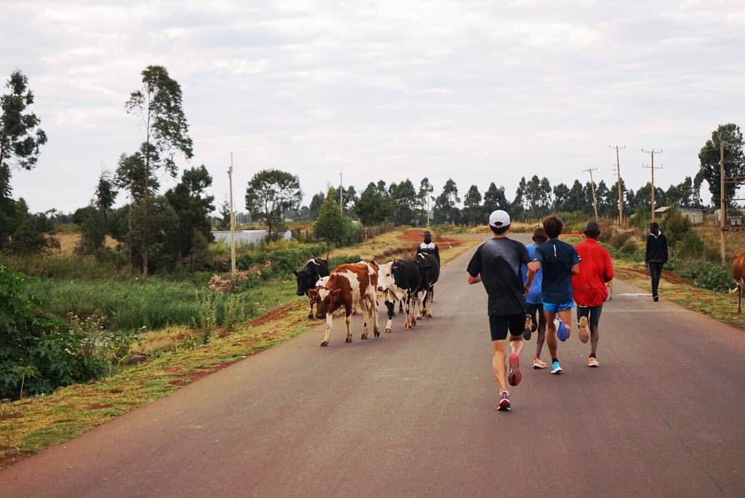 神野大地さんのインスタグラム写真 - (神野大地Instagram)「今日は40km走でしたー！🏃‍♂️🇰🇪 #ケニア合宿」1月25日 16時52分 - daichi_0913
