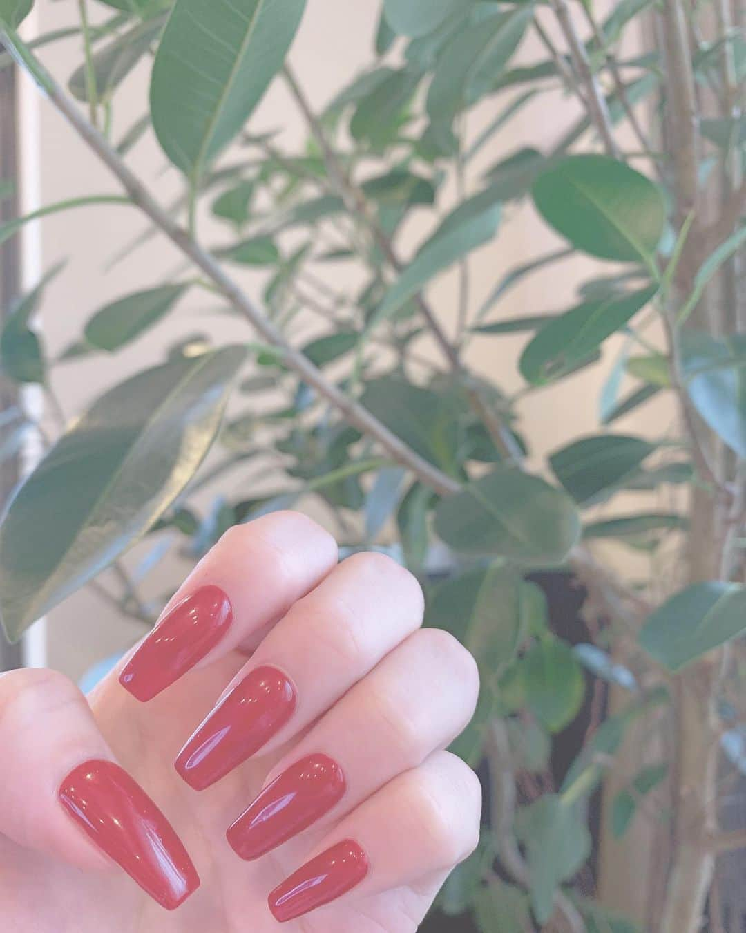 三浦亜莉沙のインスタグラム：「﻿ ▷▷ 𝐧𝐚𝐢𝐥﻿ ﻿ 今月のネイルはシンプルな﻿ ボルドーのワンカラー💅🏻❤️﻿ ﻿ 絶妙な色すぎて﻿ お気に入り☺️﻿ ﻿ ﻿ やっぱり赤のワンカラー好きだぁ♡♡♡﻿ ﻿ ﻿ #ネイル　#nail﻿ #ワンカラーネイル﻿ #シンプルネイル﻿ #💅🏻」