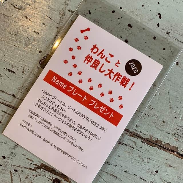 甲斐麻美のインスタグラム