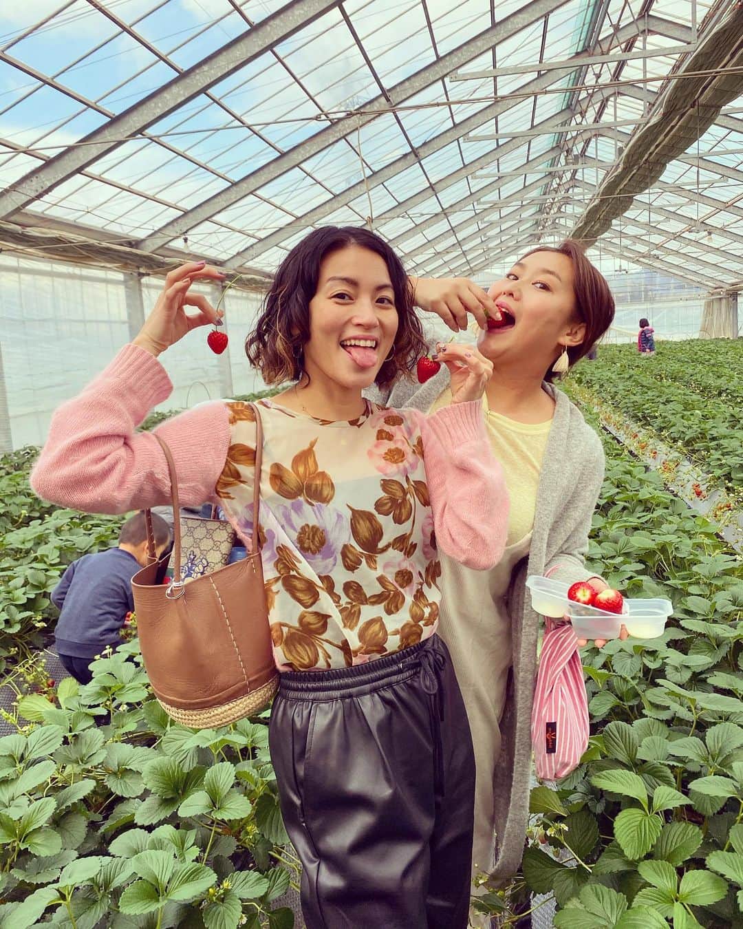 桃生亜希子のインスタグラム：「今年も苺狩り🍓！ 1年分くらい食べたなぁ。 　ずっと「美味しい美味しい！」と、言い続けてた。 　5回に一個くらい、わぁあ〜😍😍😍ってなるくらい　美味しいのに当たる。 　今年は、わぁ〜あ！の感動🥺が凄かった。 　幸せ過ぎる時間だったな。🍓🍓🍓 ごちそうさまでした🙏✨ #にことk  #新月に摘みたてのいちご」