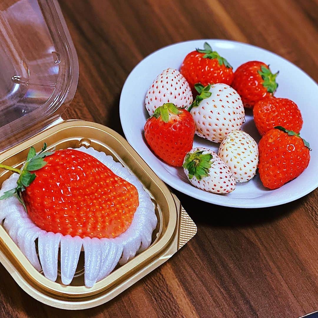 鈴木芳奈のインスタグラム：「‪ただでさえ好きな🍓なのに。‬ ‪白苺と、大苺もいただいて…るんるん♪めちゃくちゃ甘くておいひ〜✨✨🙌好きな食べ物は、苺といくらです。ぺろっとなくなりましたw‬ ‪ #果物摂取は大切 #次に好きなのは桃かな  #苺 #いちご狩りしてみたい #苺展行きたい #食べ比べとかないのかな」