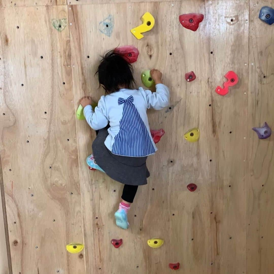 尾川とも子さんのインスタグラム写真 - (尾川とも子Instagram)「‪今日は、寒すぎて外岩は断念💦‬ ‪ジムトレは‬ ‪ちとちゃん、1番張り切って登る‬ ‪チク坊、なんかやる気なし‬ ‪私、1週間の疲れが取れてなーい😭‬ ‪#funnybone ‬」1月25日 21時52分 - ogawatomoko_bouldering