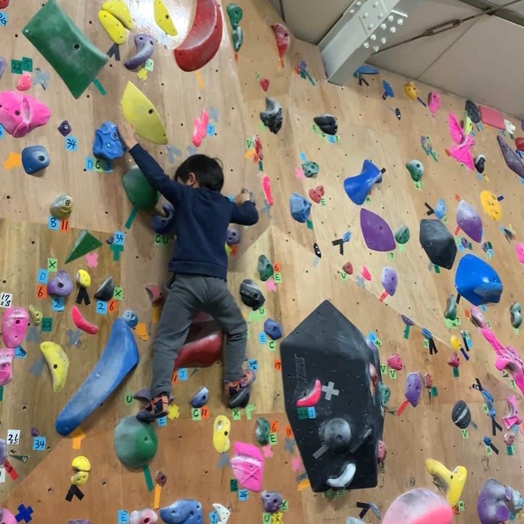 尾川とも子さんのインスタグラム写真 - (尾川とも子Instagram)「‪今日は、寒すぎて外岩は断念💦‬ ‪ジムトレは‬ ‪ちとちゃん、1番張り切って登る‬ ‪チク坊、なんかやる気なし‬ ‪私、1週間の疲れが取れてなーい😭‬ ‪#funnybone ‬」1月25日 21時52分 - ogawatomoko_bouldering