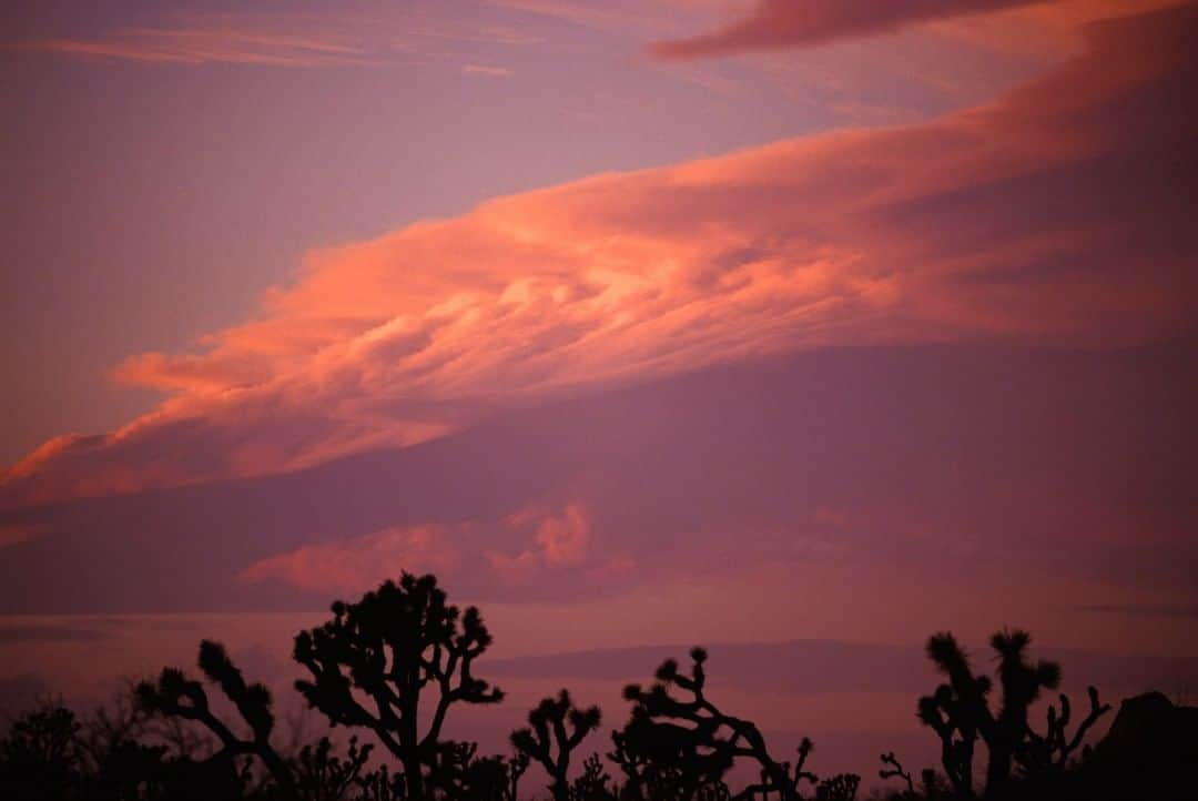 National Geographic Travelさんのインスタグラム写真 - (National Geographic TravelInstagram)「Photo by @michaelclarkphoto | Red skies at sunset over Joshua Tree National Park, California. Joshua Tree is an incredibly diverse national park with a wide range of flora and fauna, of which a certain portion is made up of the famous Joshua trees. The park is also huge, so I highly recommend exploring the more remote sections of the park, as well as spending time down among the Joshua trees. #joshuatreenationalpark #joshuatree #california」1月25日 22時07分 - natgeotravel