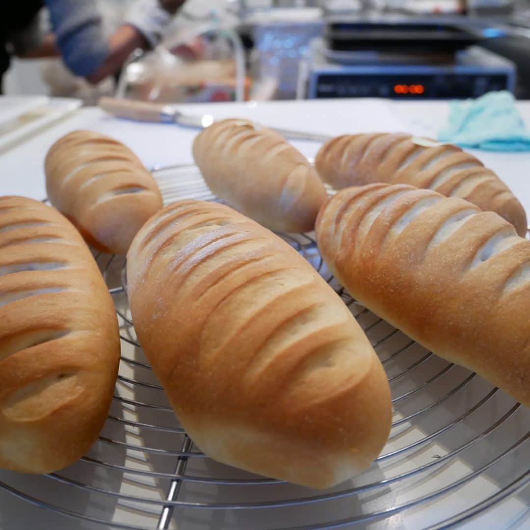 岩本乃蒼さんのインスタグラム写真 - (岩本乃蒼Instagram)「先日パン教室デビュー🥖﻿ 芽生さんと尾崎ちゃんに﻿ 誘ってもらいました…﻿ ﻿ いままでパンは食べることに徹してきたけれど、つくるのもいいなぁと。﻿ 初めて焼いたメロンパン、﻿ これはこれは美味でした🍈﻿ ﻿ #さつきじゃなくて芽生﻿ #バケット尾崎﻿ #パン教室」1月25日 23時19分 - noa_iwamoto