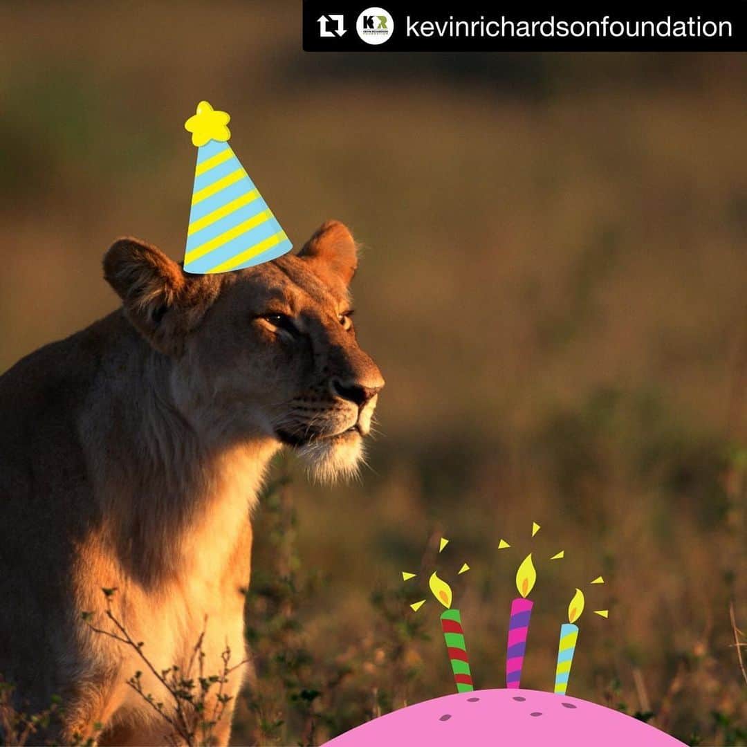 Kevin Richardson LionWhisperer さんのインスタグラム写真 - (Kevin Richardson LionWhisperer Instagram)「#Repost @kevinrichardsonfoundation with @get_repost ・・・ Sending super lion birthday love to our patron, HSH Princess Charlene of Monaco! We are sure she wishes she was spending the day in the African bushveld with the animals she so dearly loves! @hshprincesscharlene . . . Photo credit:  #kevinrichardsonfoundation #kevinrichardson #lionwhisperer #savethelions #preservehabitat #protectlions  #kevinrichardsonwildlifesanctuary」1月25日 23時46分 - lionwhisperersa