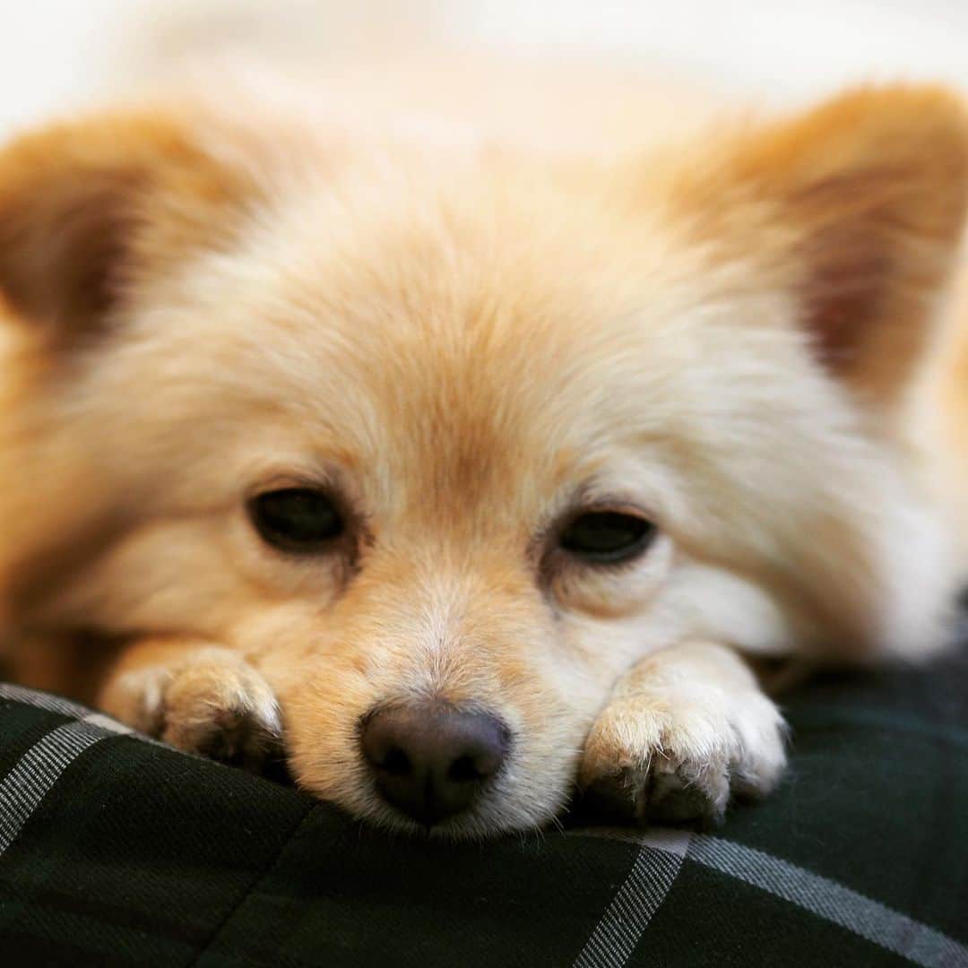 水野良樹さんのインスタグラム写真 - (水野良樹Instagram)「自分の足が枕になる彼。」1月26日 9時29分 - mizunoyoshiki_teke
