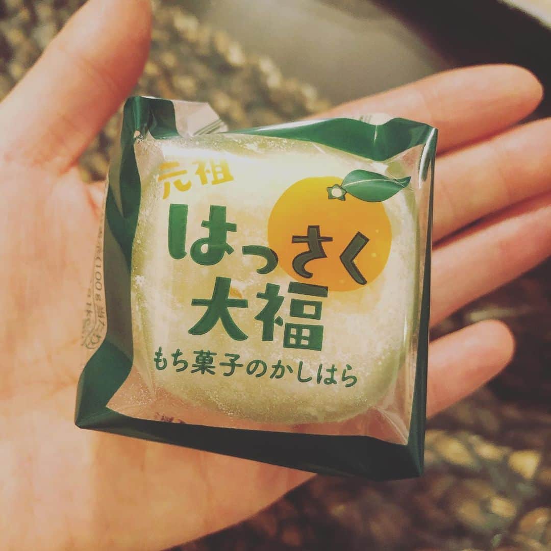 犬山紙子さんのインスタグラム写真 - (犬山紙子Instagram)「広島に来てるよ ちゃっかり牡蠣を食べたよ 今日はコイカリ公開収録です！」1月26日 9時54分 - inuyamakamiko