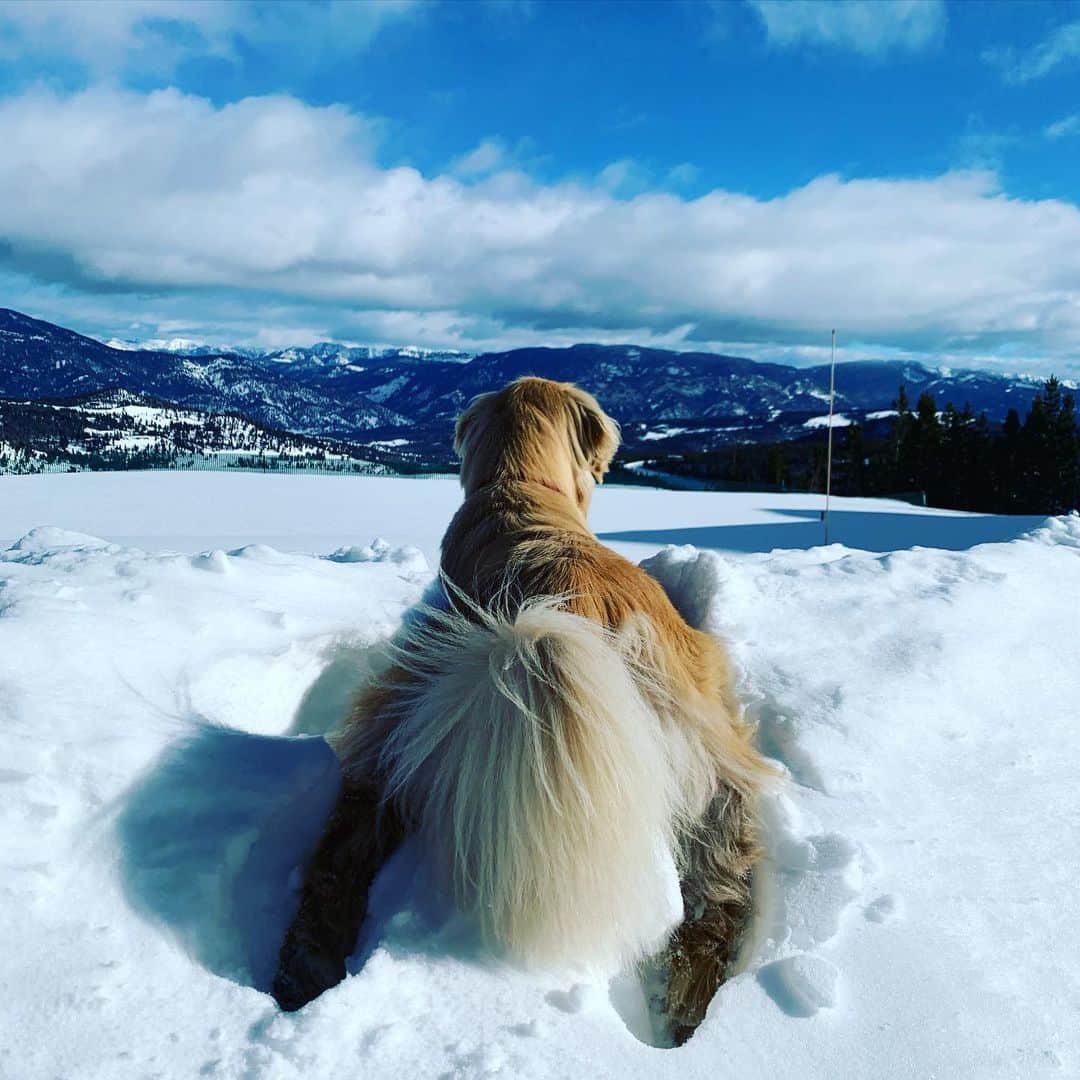 エリン・アンドリューズのインスタグラム：「Snow 🐰🍑」