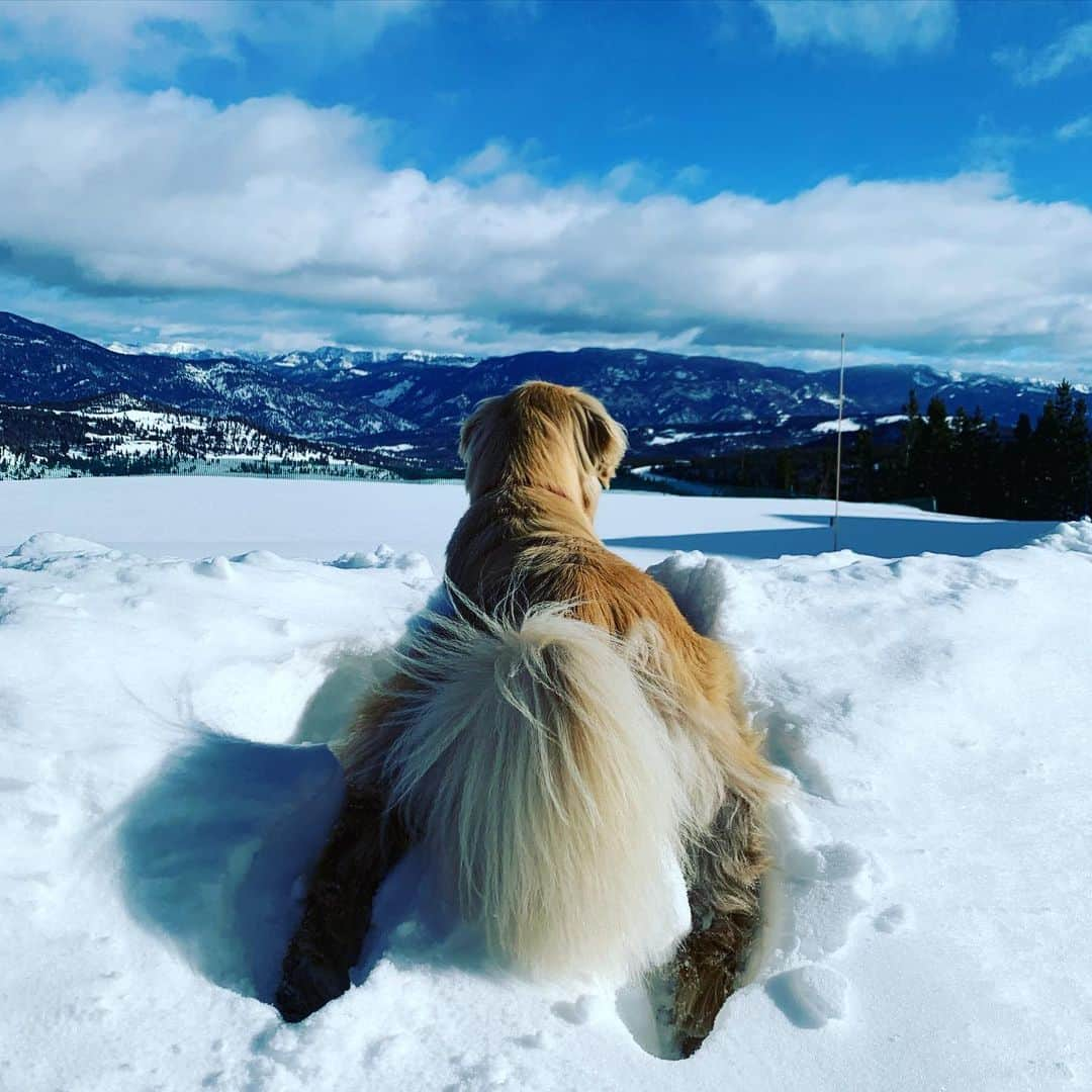 エリン・アンドリューズさんのインスタグラム写真 - (エリン・アンドリューズInstagram)「Snow 🐰🍑」1月26日 2時32分 - erinandrews