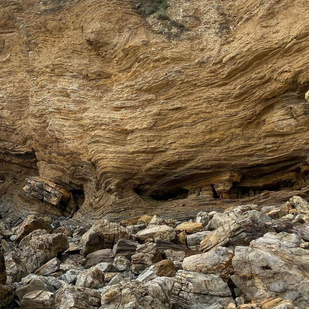 マーク・ホッパスさんのインスタグラム写真 - (マーク・ホッパスInstagram)「Tragedy + Time = Geology.」1月26日 7時07分 - markhoppus