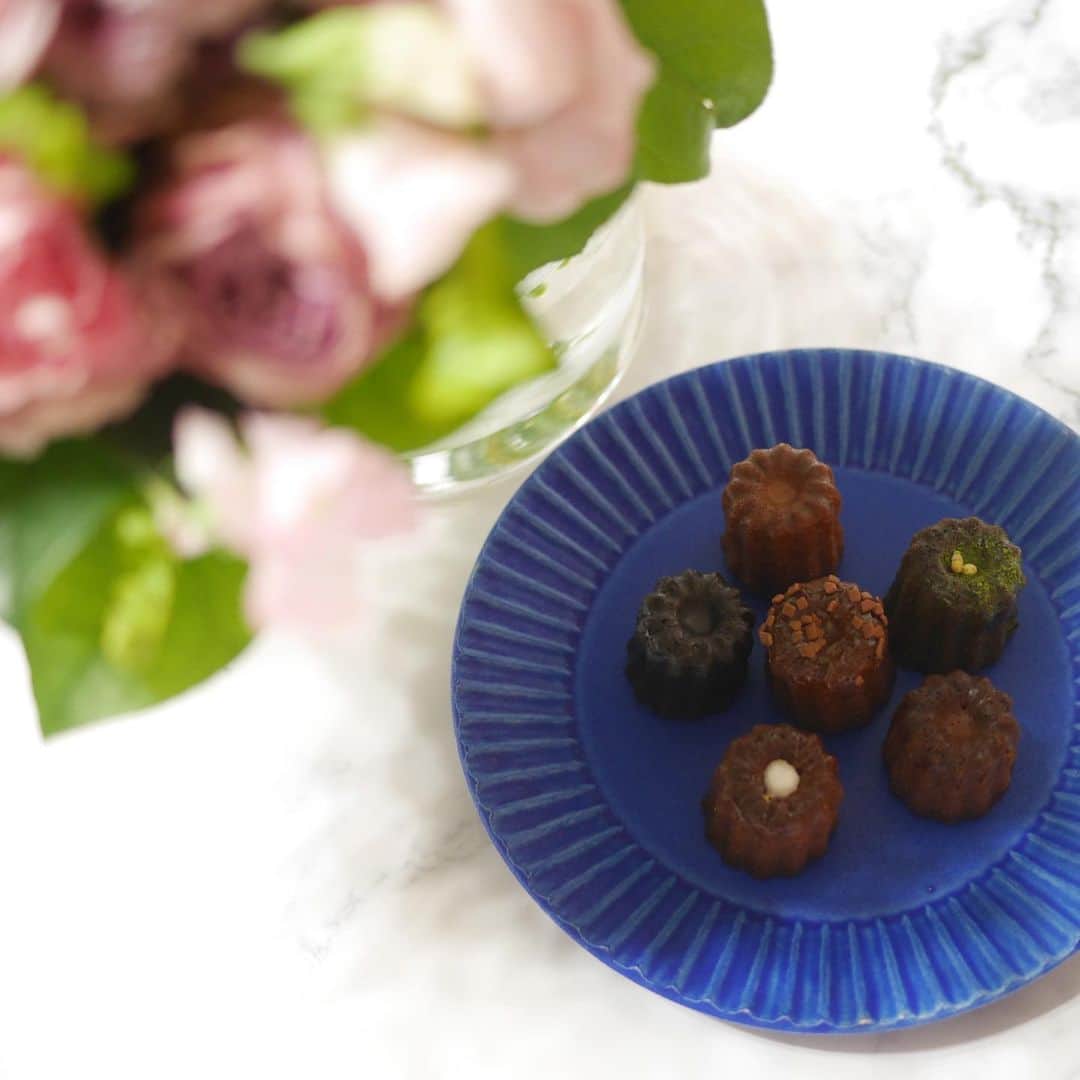 木本泉のグルメインスタ