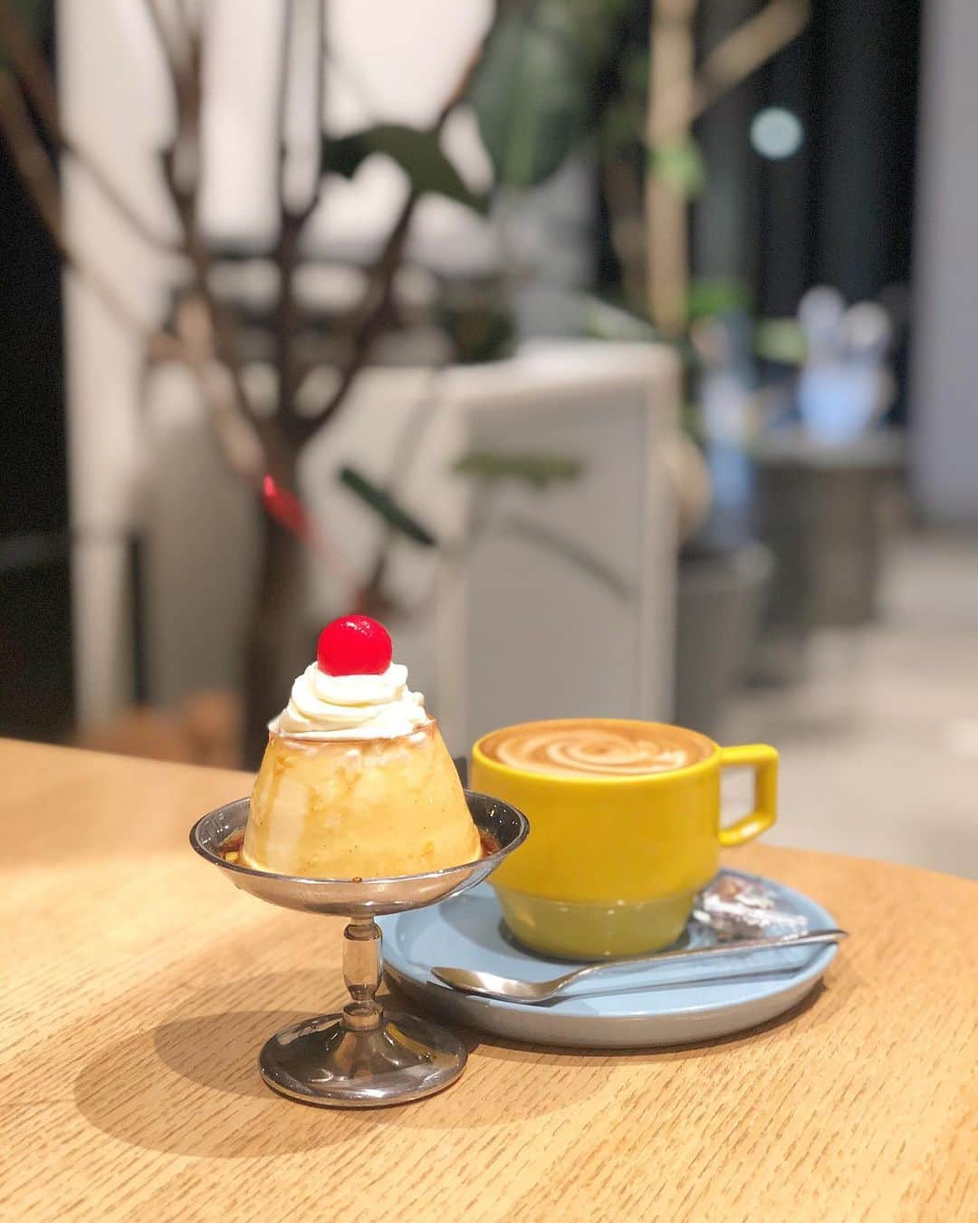 都築青空さんのインスタグラム写真 - (都築青空Instagram)「渋谷キャストにはいっている Åre Café🗻 @cafe__are . .  #Åre #オーレ #SHIBUYACAST #渋谷キャスト #渋谷カフェ #渋谷ランチ #渋谷グルメ #渋谷弁当 #渋谷デザート #渋谷スイーツ #北欧 #北欧カフェ #プリン #🍮」1月26日 18時57分 - aozora723