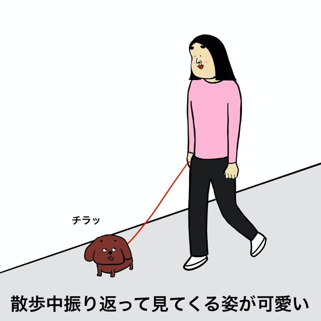 BUSONさんのインスタグラム写真 - (BUSONInstagram)「犬を飼ってる人あるある  今回はほぼ過去投稿したイラストで、１枚新しく描き足しました!　というのも、出張で久々船に乗って移動しており、その間イラストを描いていると、ものすごく船酔いしすぎてあまり描けませんでした…　バタバタしておりユーチューブの漫画動画もここ２日間更新できてませんが、また投稿しますのでお楽しみにお待ちください^ ^  #犬あるある」1月26日 19時49分 - buson2025