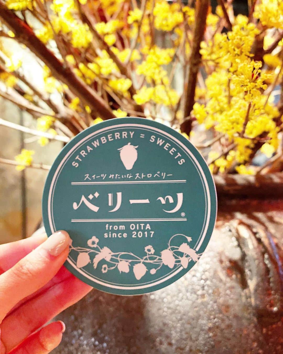 湯浅喬子さんのインスタグラム写真 - (湯浅喬子Instagram)「SOUR in Kyoto.  大分県の苺が贅沢に入った 超ベリーツサワー🍓  鮮やかな苺色🍓 甘さと酸味のバランスの良さが とっても美味しかった🍸  京都は本当に大好きな場所🥰 #ベリーツ#京都スイーツ#京都カフェ#いちごスイーツ#PR」1月26日 20時01分 - kyorco