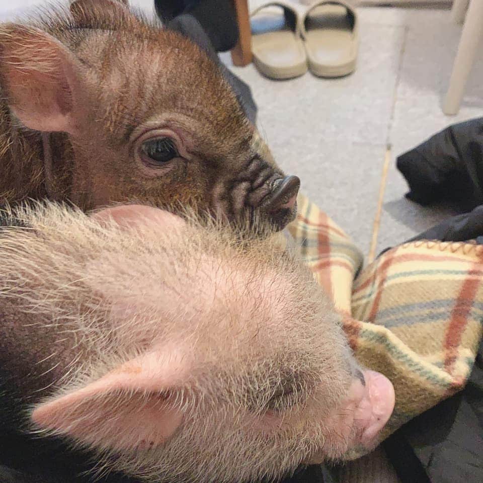 角川慶子のグルメインスタ