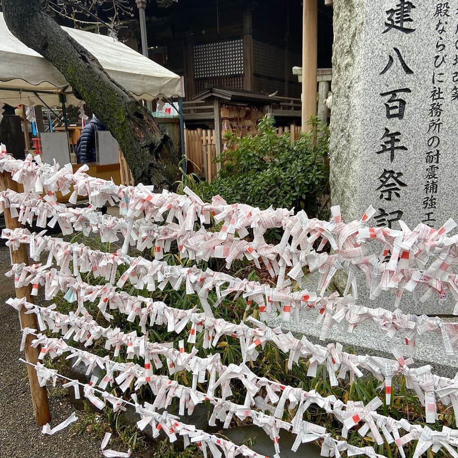 松尾たいこさんのインスタグラム写真 - (松尾たいこInstagram)「I went to a nearby shrine to say New Year's greetings. This is a picture of a shrine in Shimane Prefecture for my book. 用心して時の来るのを待て。代々木八幡宮は我が家の氏神様（自らの住む土地をお守りくださる神様）のいる神社。  毎年、年末に「一年間ありがとうございました」、年始（初詣が落ち着いた頃）に「今年もよろしくお願いします」とご挨拶に行きます。自分の願い事はしません。  そして今回はじめておみくじを引きました。「末吉」  用心して時の来るのを待て 初めは心配事多いけれど後になれば何事も望み通り叶う様になり 幸福引きつづいて来ます 信神怠りなく心を正しくなさい  と書いてありました。  いまできることを、あせらずやっていきたいなと思いました。  おみくじは結んで帰りました。  この絵は、出雲の布須（ふす）神社。御祭神はスサノオとイナタヒメ。ヤマタノオロチを酔わせる強いお酒（八塩折酒）を作った場所と言われています。  #japaneseartist #liveintokyo #myartwork #acrylicpainting #art #artoftheday #happyart #loveart #lovejapan #アート #絵 #fineart #artposts #contemporaryart #drawing #acrylic #artlovers #colorfulworld #artstagram #paintlover #代々木八幡 #神社好きな人と繋がりたい #shrine #出雲　#古事記」1月26日 11時40分 - taikomatsuo