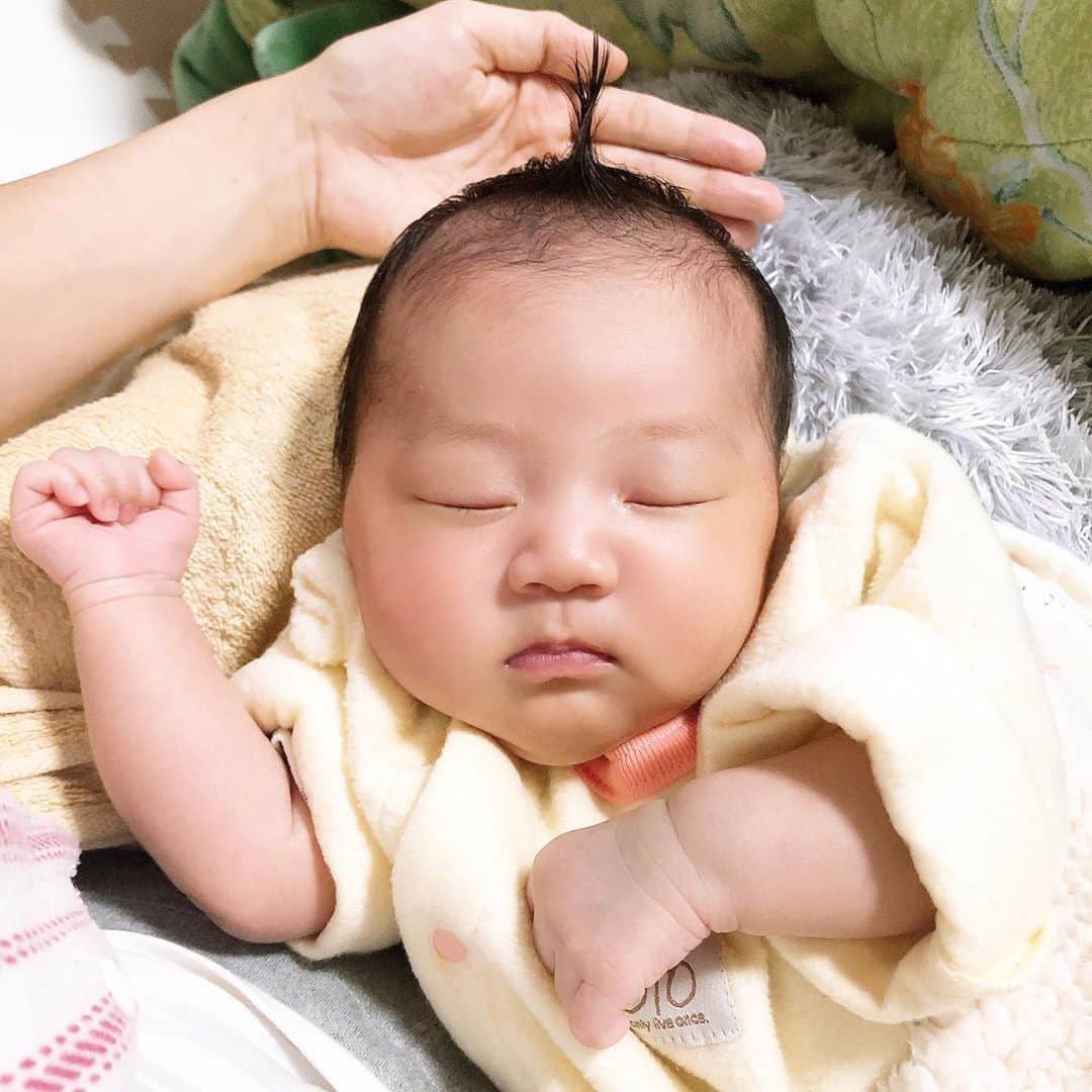ままのてさんのインスタグラム写真 ままのてinstagram ちょんまげぴーん ままのて ちょんまげでかわいいポーズ たまらないねんね姿 ちょんまげ ねんね Koha 125様の投稿です 素敵なお写真