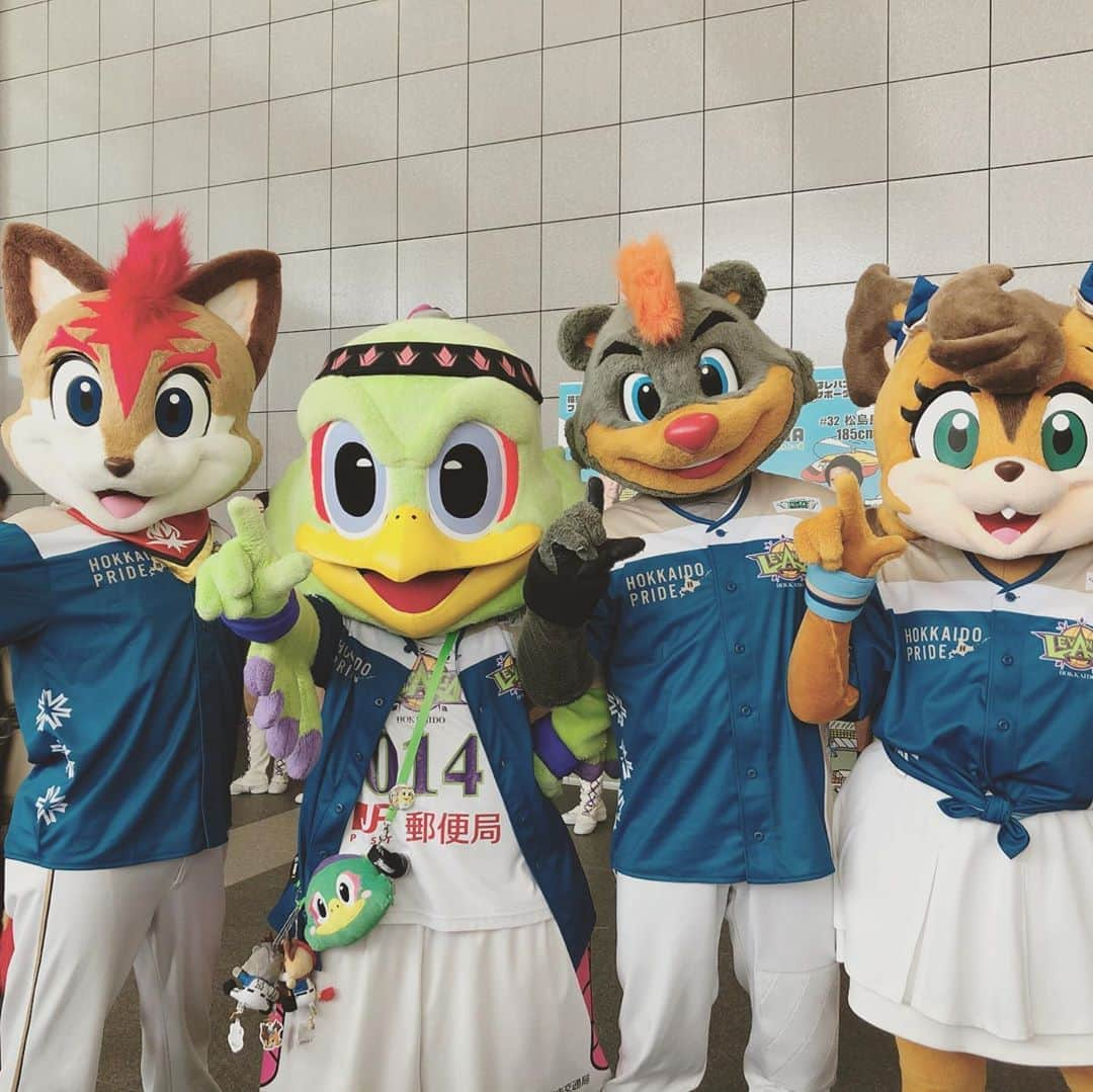 北海道日本ハムファイターズ フレップのインスタグラム