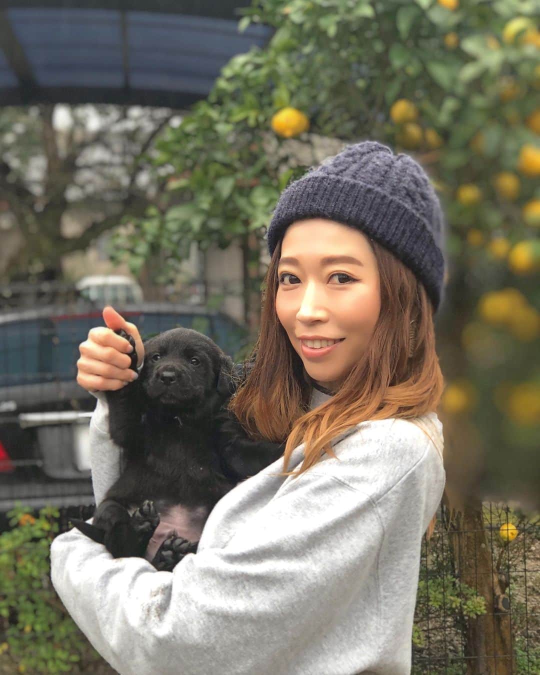 のインスタグラム：「Hey puppy🐶🐾 ． 🍋🍋🍋 ． ちょっとおっきくなりました❣️ ． ． ． #puppy #babies #pet #miyazaki ##flatcoatedretriever #lover #hi #はじめまして　#パピー #フラットコーテッドレトリバー #子犬 #宮崎」