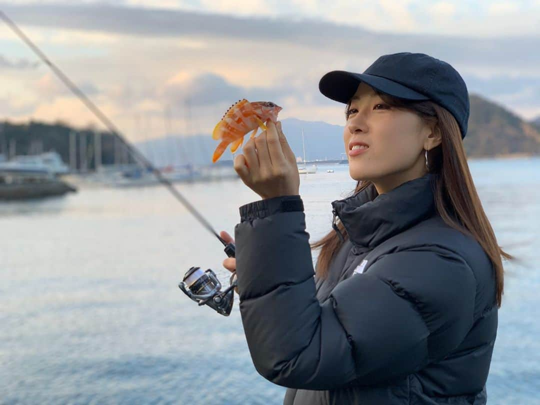 岡田万里奈さんのインスタグラム写真 - (岡田万里奈Instagram)「. . . . 【Tackle】 ◆rod: #LUXXE #宵姫華S60FL-solid ◆reel: #SHIMANO #16vanquish C2000S ◆line: #SUNLINE #鯵の糸エステルナイトブルー ◆lure: #reins #チビキャロスワンプ . . . また会おうね☺️ . . . #イメージでは #数年後の約束 #いつも一方的に再会を誓って #そして次の日くらいに会える #変わらないサイズ感 . . . #ライトゲーム #アカハタ #LUXXE #宵姫天 #gamakatsu #釣りバカ #釣り人 #釣りガール #釣り女子 #fishing #angler #fishinggirl #オカマリ #オカマリが釣ってきた」1月26日 15時05分 - lovendor_okamari