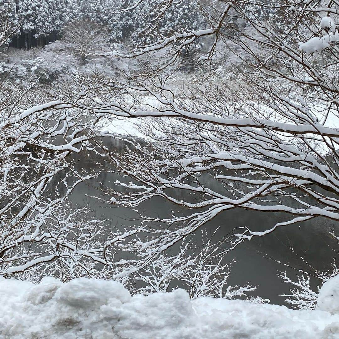 宋美玄さんのインスタグラム写真 - (宋美玄Instagram)「週末は箱根でのんびりして来ました。朝起きたら雪が積もって一面の銀世界。装備が甘かったので芦ノ湖に行くのは諦めて帰って来ましたー #箱根 #登山鉄道はまだ復旧してなかった #今年の秋に復旧予定らしい #被災地に旅行しよう #常磐線も行くぞ #hiramatsu #ひらまつ仙石原 #ロマンスカー #小田急 #ロマンスカーvse」1月26日 15時46分 - mihyonsongkobe