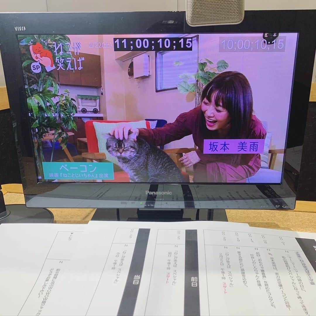 坂本美雨のインスタグラム