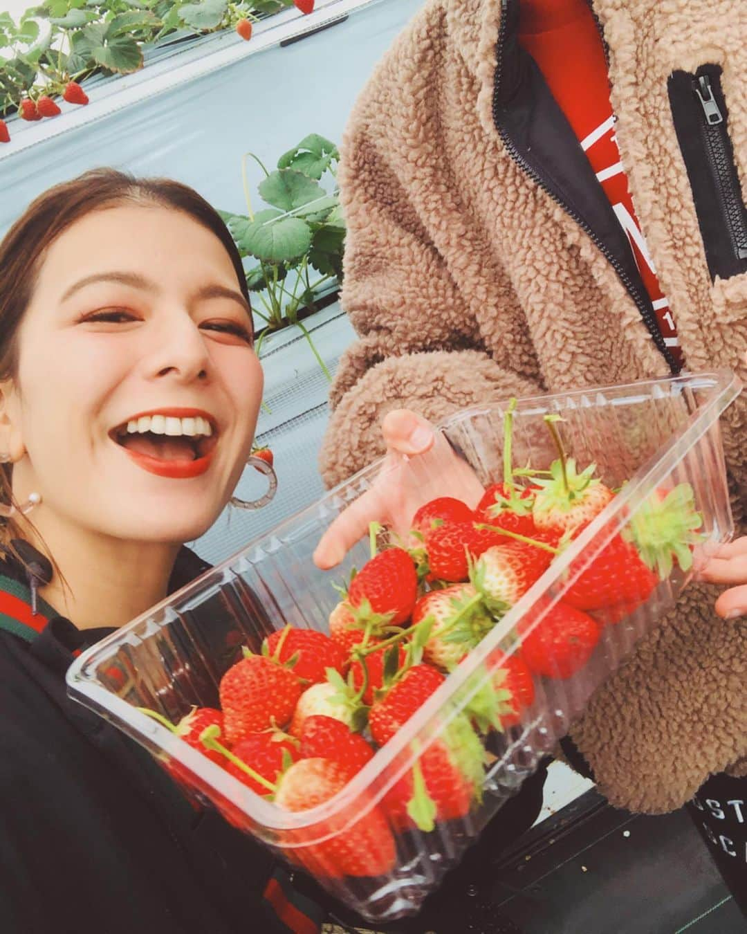 スザンヌさんのインスタグラム写真 - (スザンヌInstagram)「今日は#いちご狩り 🍓🍓🍓　﻿ ﻿ 食べられる量を摘んで　﻿ （お土産用などでも）﻿ はかってもらって、買って帰るというありがたいスタイル❤︎🍓❤︎﻿ ﻿ 姪っ子　@gowasuchiyan もむちむちおててでじょーずに摘んでました💘﻿ ﻿ 帰りは　@kichijien カフェ☕️で﻿ ソフトクリーム🍦食べて帰ったよ❤︎ ﻿ 濃厚で美味しかったなぁ🤤﻿ ﻿ 幸せ日曜日⛅️」1月26日 17時16分 - suzanneeee1028