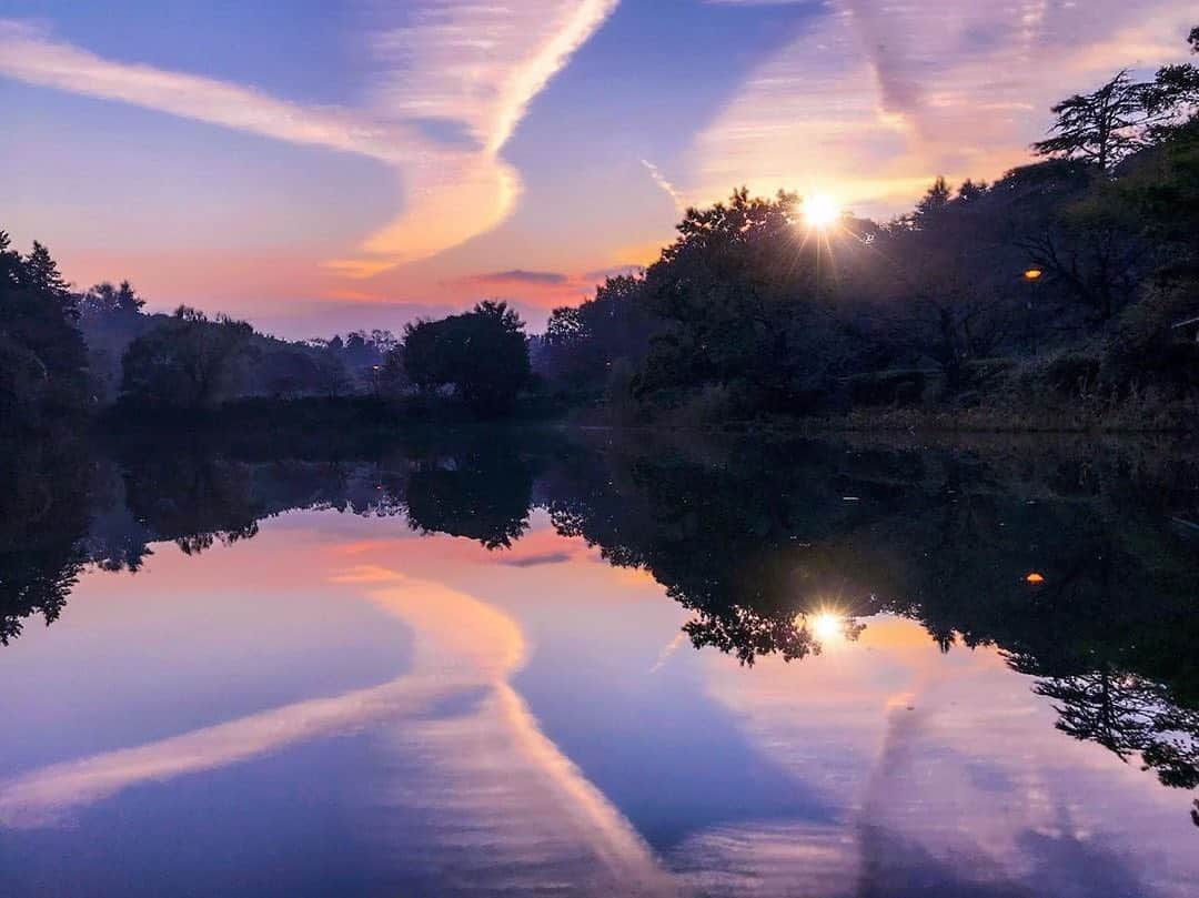 横浜市さんのインスタグラム写真 - (横浜市Instagram)「Mitsuike Park's views can be other worldly. Photo: @monzoon_k #myyokohama」1月26日 18時15分 - findyouryokohama_japan