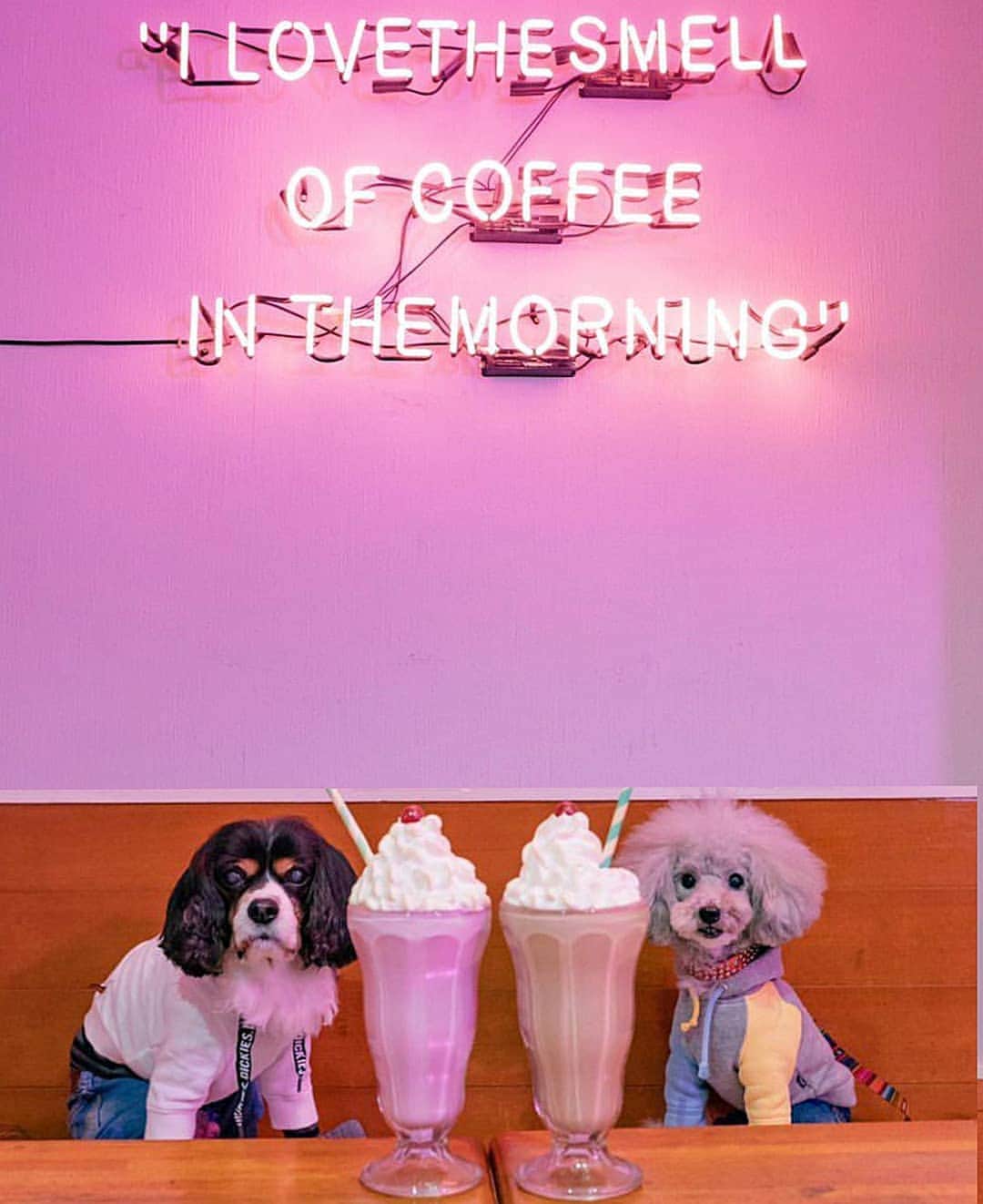 campusのグルメインスタ