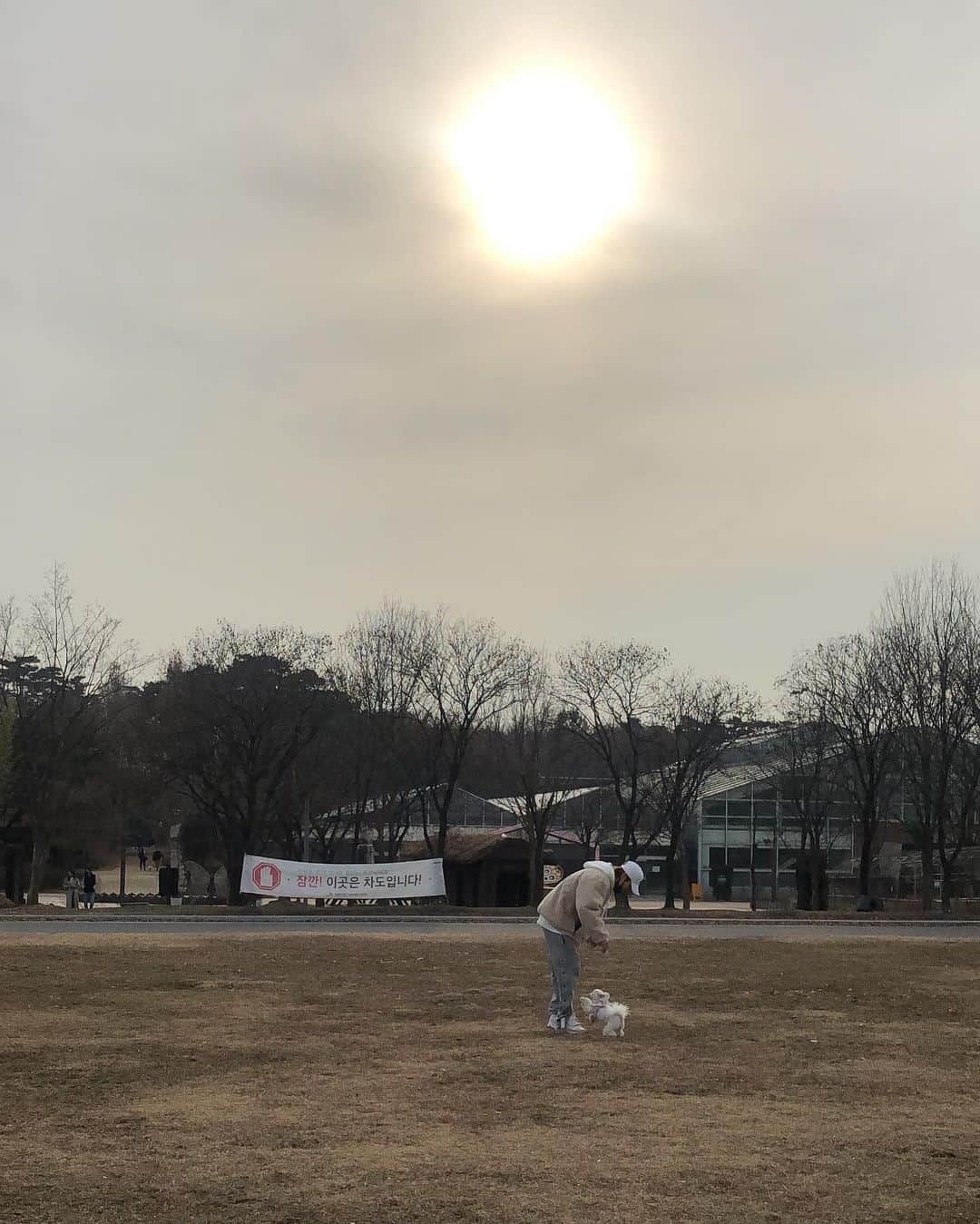 イトゥク さんのインスタグラム写真 - (イトゥク Instagram)「예전에 한 이모님께서 우리 쿵이를 보고 이런말씀 하셨다 동물이 사람보다 나아요. 동물은 배신이 없잖아요 더 많이 사랑해주세요 라고 쿵이랑 종일 있는게 그냥 내 행복 🐶」1月26日 18時16分 - xxteukxx