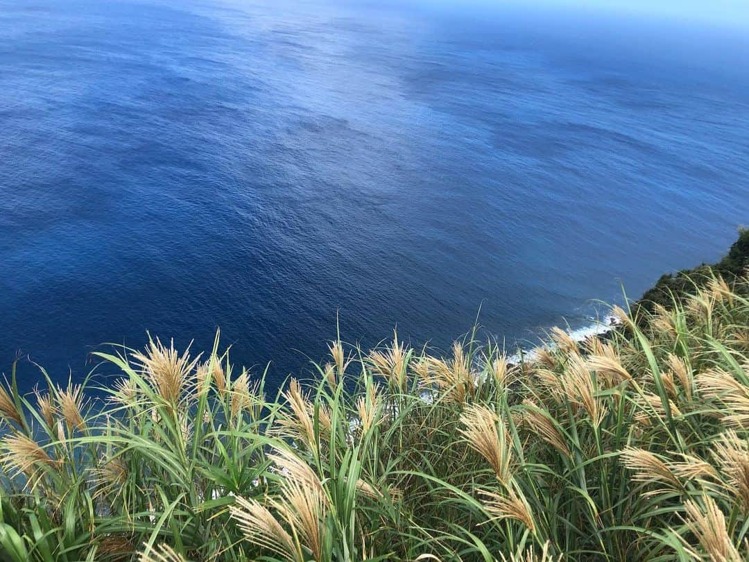 尾崎愛さんのインスタグラム写真 - (尾崎愛Instagram)「青ヶ島、また行きたい。昨年一番の大冒険でした🚁1枚目よく見たらツバメが！  https://www.onestory-media.jp/post/?id=3372&title_id=3826  #青ヶ島 #伊豆諸島 #秘境 #島 #旅 #aogashima #tokyo #japan #travel」1月26日 18時37分 - aiozaki0422