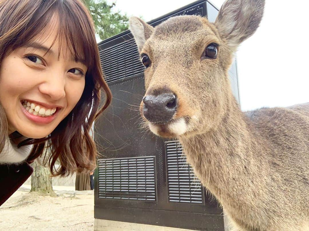 奥村真友里さんのインスタグラム写真 - (奥村真友里Instagram)「第2回トライシグナルトラベル @広島山口編⛩🏔 . . ありがとうございました〜！ 平和で楽しい旅でした☺️ . . #トライシグナルトラベル #広島#山口 #宮島#厳島神社#鹿#🦌」1月26日 20時41分 - mayuri_okumura