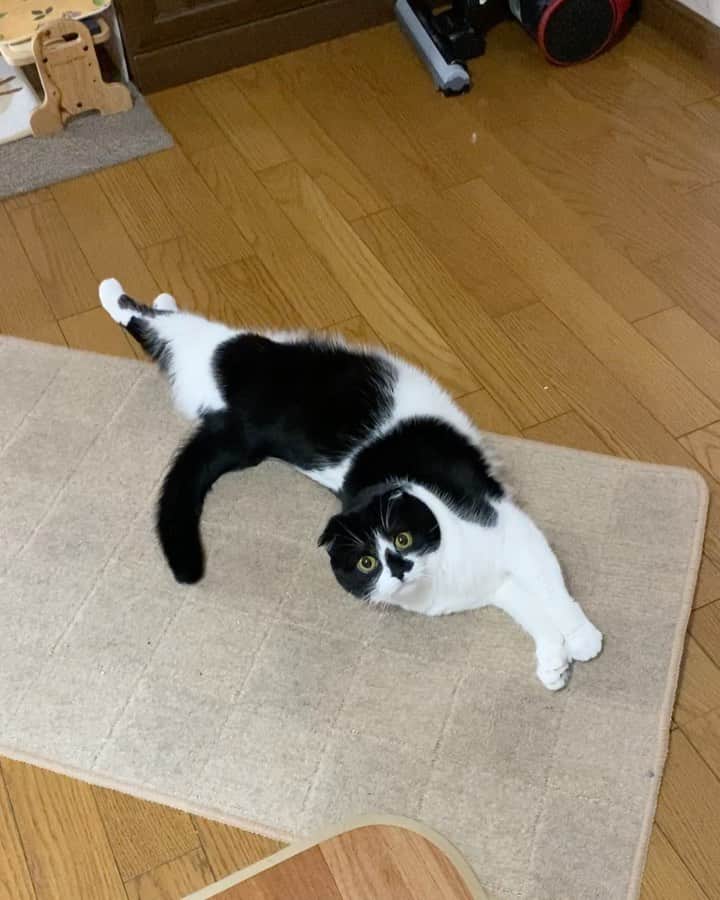 tiaichimaのインスタグラム