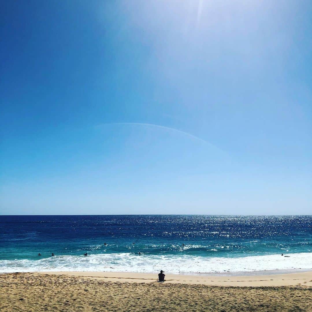 小川薫さんのインスタグラム写真 - (小川薫Instagram)「３泊のショートトリップだったけど サンディビーチまでドライブできたし 大満喫のハワイでした🏄‍♂️ mahalo🌺  #hawaii #ハワイ  #salondeclover  #サロンドクローバー #小川薫 #おもてなし #おもてなし料理教室 #料理教室 #料理研究家 #テーブルコーディネート #テーブルコーディネーター  #大阪料理教室 #cookingclass  #tablesetting  #堀江 #堀江公園 #tablecoordinate #パーティーフード #おもてなし料理  #和食レッスン　#和食　#和のテーブルコーディネート　#冬の和食レッスン」1月26日 20時57分 - salondeclover