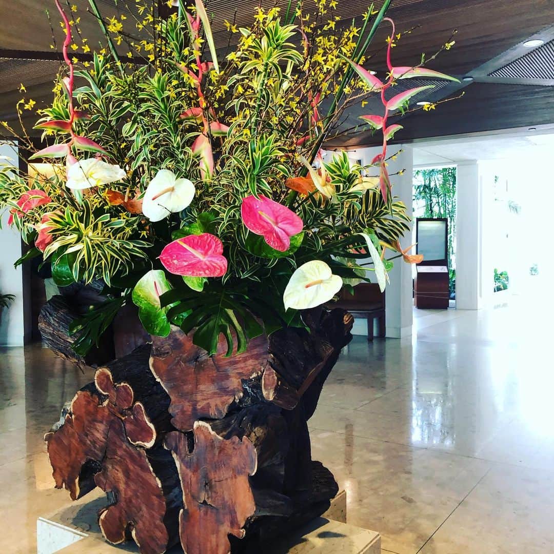 小川薫さんのインスタグラム写真 - (小川薫Instagram)「３泊のショートトリップだったけど サンディビーチまでドライブできたし 大満喫のハワイでした🏄‍♂️ mahalo🌺  #hawaii #ハワイ  #salondeclover  #サロンドクローバー #小川薫 #おもてなし #おもてなし料理教室 #料理教室 #料理研究家 #テーブルコーディネート #テーブルコーディネーター  #大阪料理教室 #cookingclass  #tablesetting  #堀江 #堀江公園 #tablecoordinate #パーティーフード #おもてなし料理  #和食レッスン　#和食　#和のテーブルコーディネート　#冬の和食レッスン」1月26日 20時57分 - salondeclover