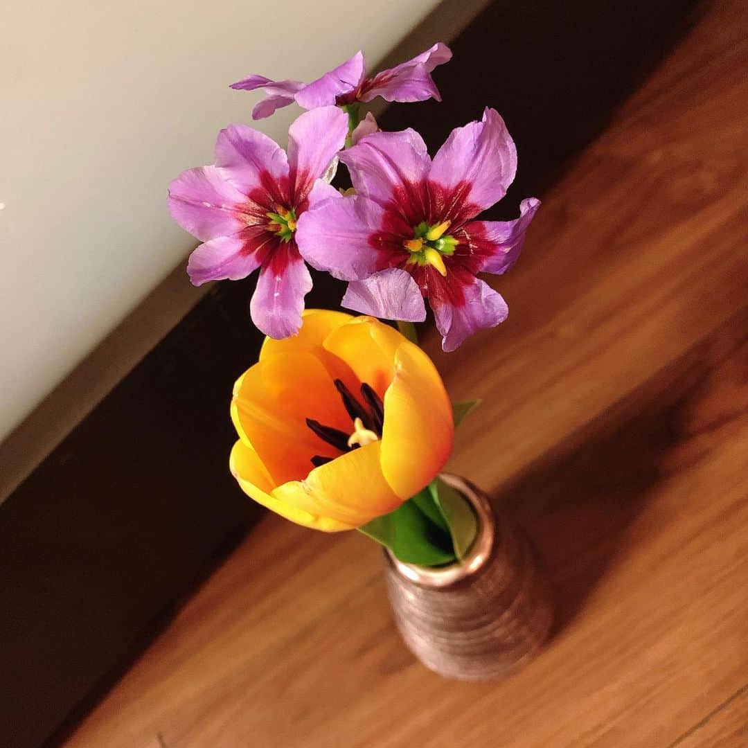 増田有華さんのインスタグラム写真 - (増田有華Instagram)「お花屋さんでは蕾閉じてたけど 帰宅してから花瓶にさしたら開いてた〜🌷 かわい。 チューリップ もうすぐ春だね〜」1月26日 21時03分 - masuyuka_official