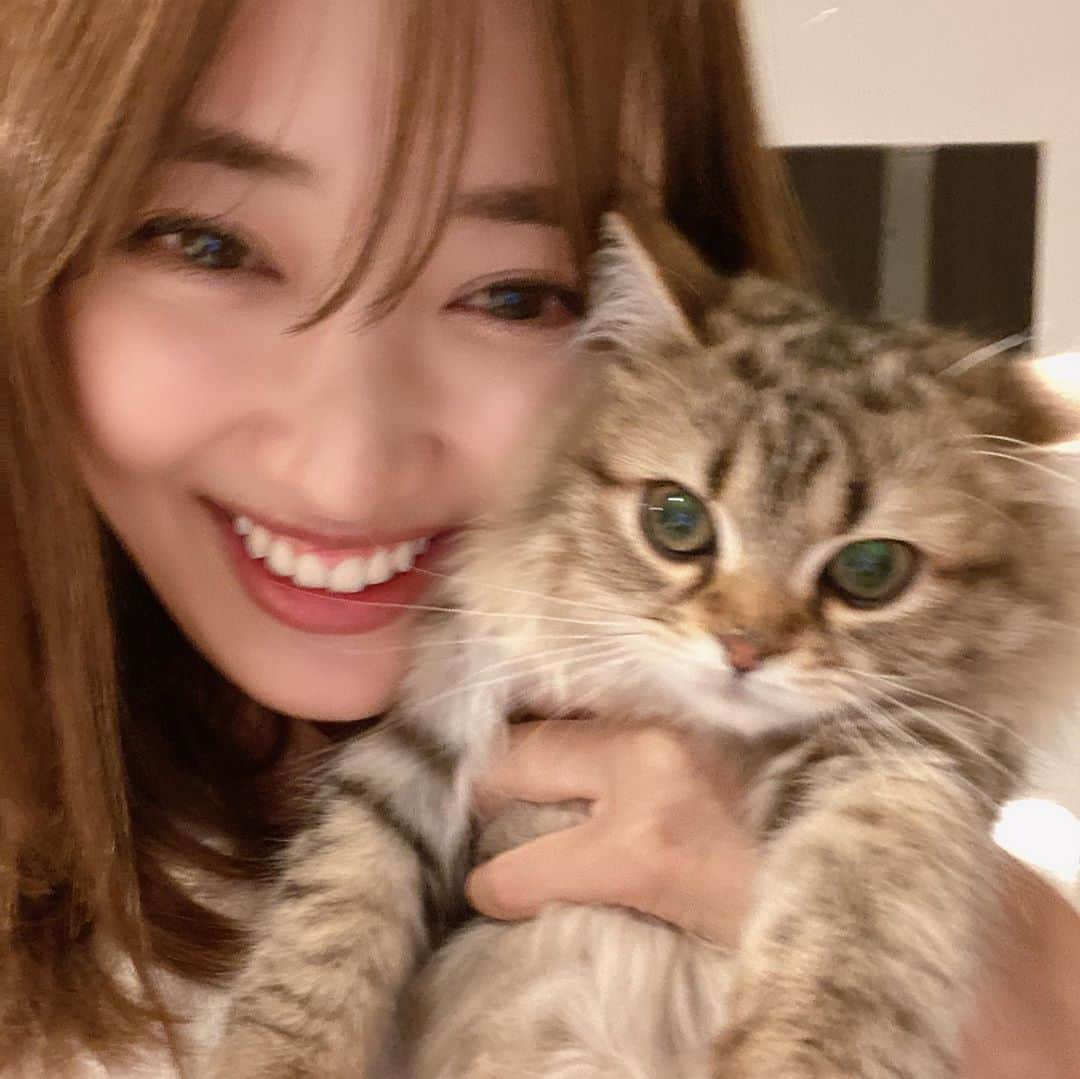 佐達ももこさんのインスタグラム写真 - (佐達ももこInstagram)「4ヶ月のbaby gigiたん🐱💓﻿ ﻿ @gigi___ragamuffin ﻿ ﻿ お友達の猫ちゃんに会いに😻﻿ ﻿ ﻿ あーーん子猫ってなんで﻿ こんなにかわいいの🥺❤️🙏﻿ ﻿ 我が家のとみちゃんと今度﻿ ぜひコラボしたい🥰🥰🥰﻿ ﻿ ﻿ #子猫#猫#ねこすたぐらむ#ラガマフィン」1月26日 21時18分 - sadamomodayo